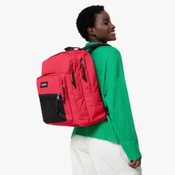 PINNACLE-Eastpak New