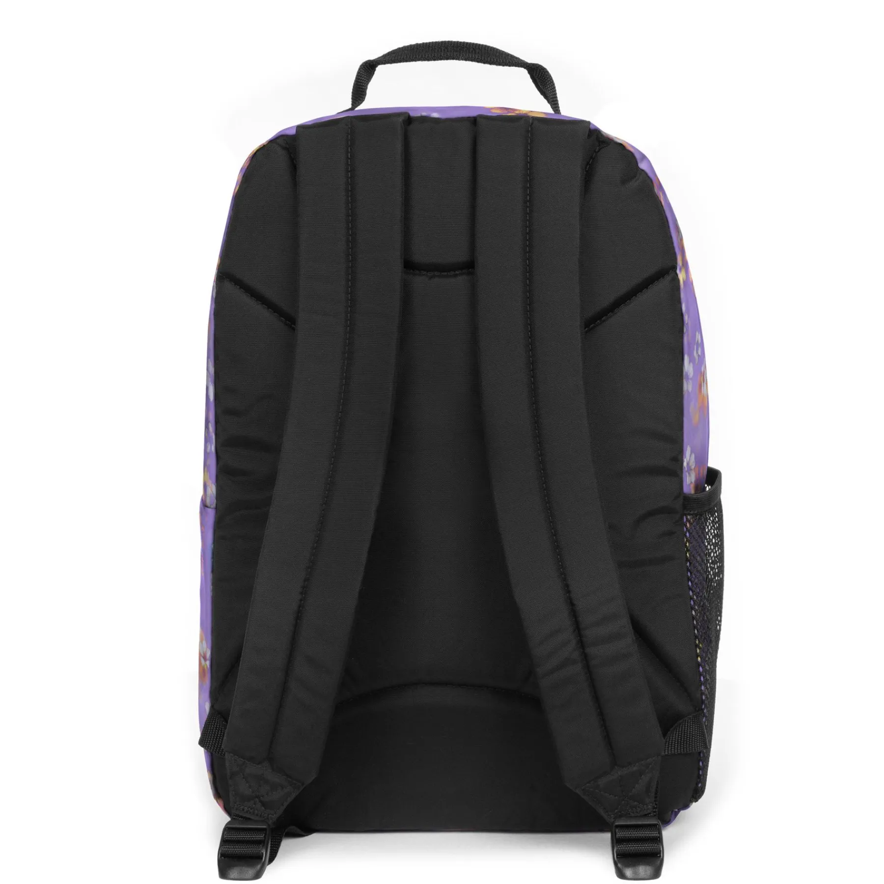 STUDY BUDDY-Eastpak New